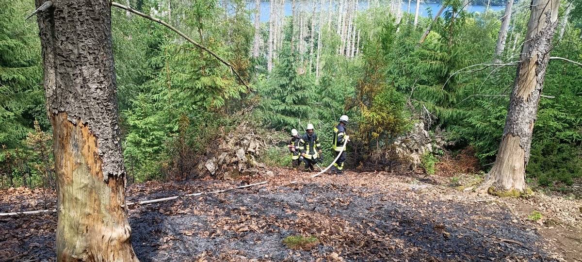 Forderung: Waldbrandbekämpfung braucht Top-Prio