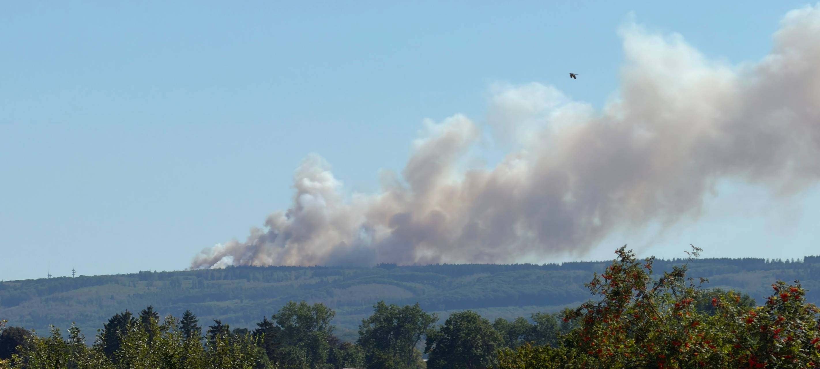 Mehrere Feuer im Kreis Düren