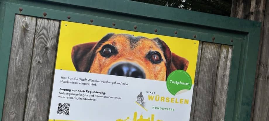 Würselen: Hundewiese teilweise gesperrt