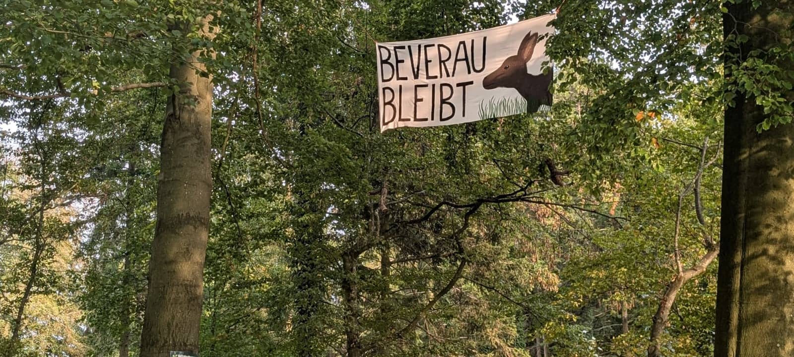 "Beverau statt Militärausbau": Kundgebung vor Ratssitzung